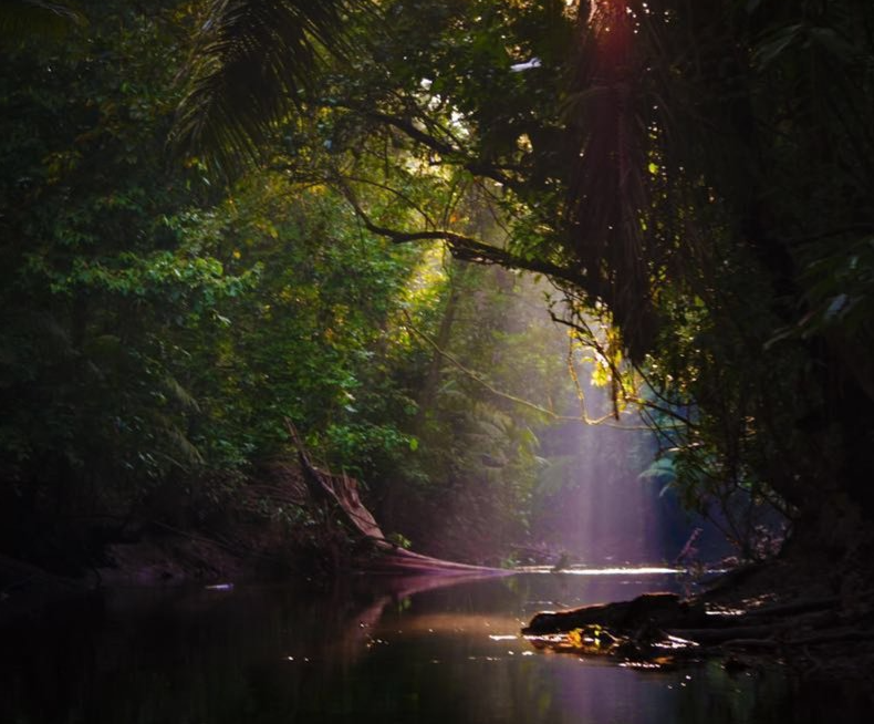 DAY 3 - NCC 14 Days Amazon and Galapagos