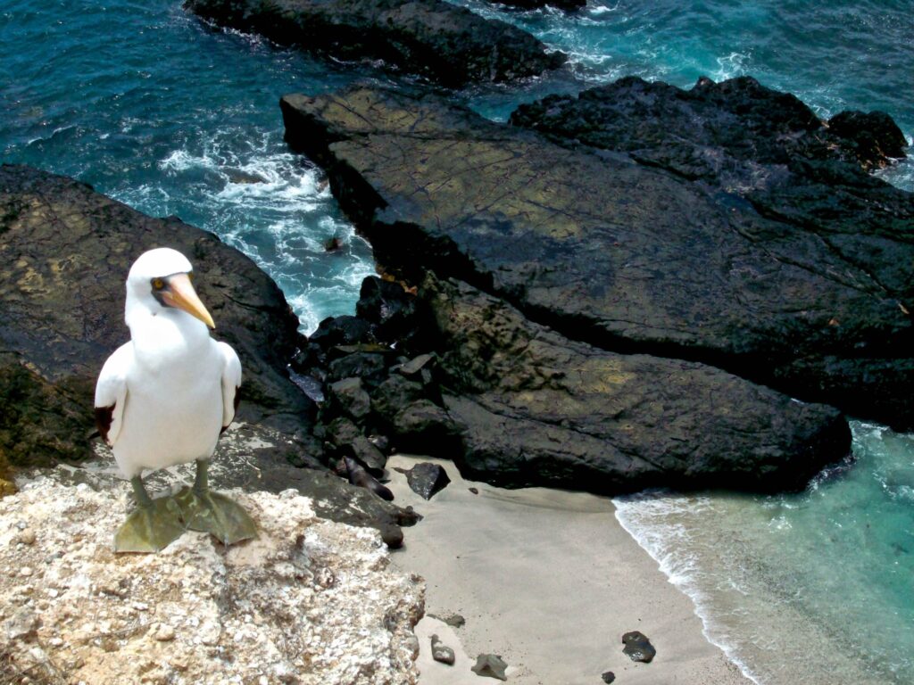 DIA 5 12 Days Andes and Coast