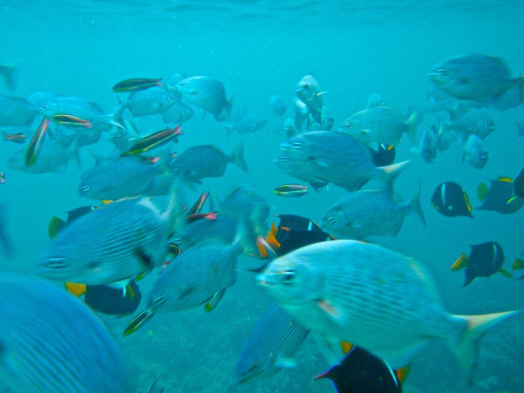 DIA 6 12 Days Andes and Coast