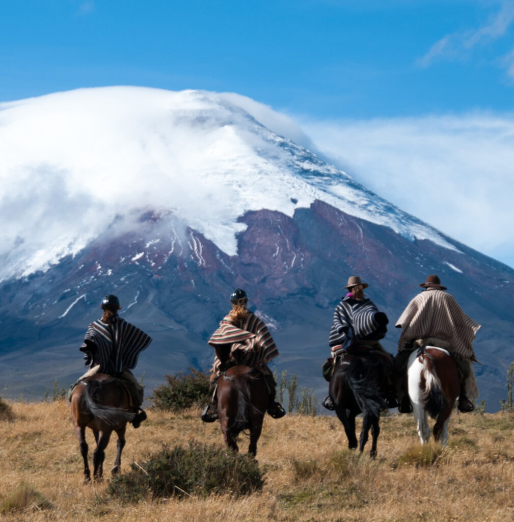 Day 1 14 Days Highlights of Ecuador