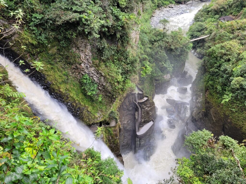 Day 10 14 Days Mainland Ecuador and Cuyabeno Reserve