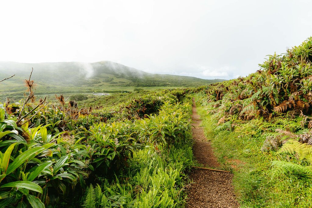 Day 10 12 Days 3 Islands Galapagos