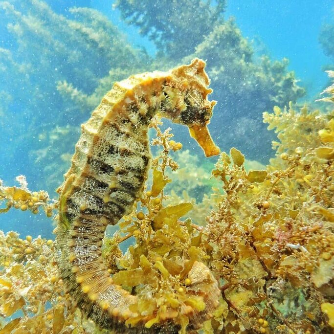 Day 10 - Tuneles 14 Days Amazon and Galapagos