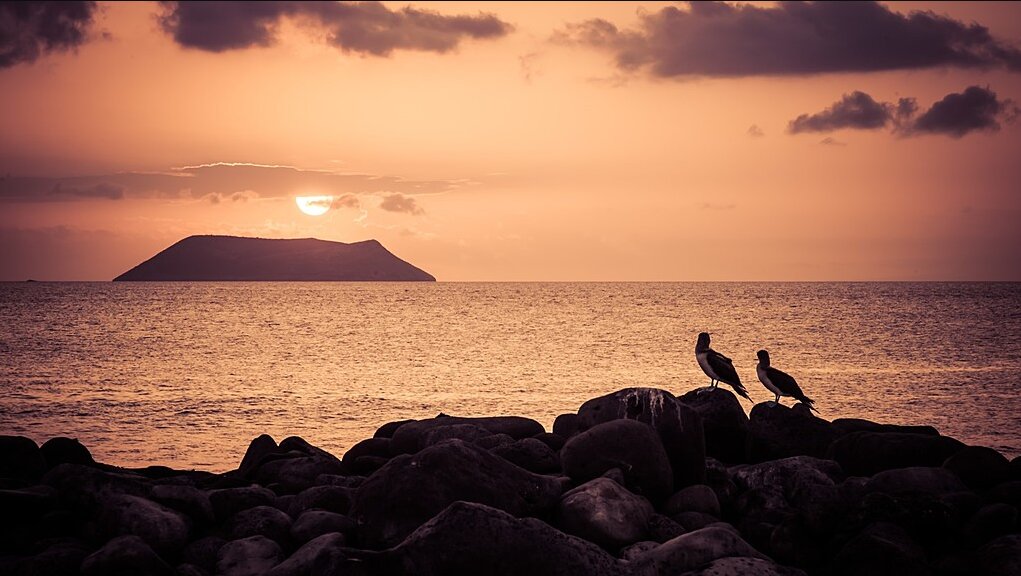 Day 14 -Departure 14 Days Amazon and Galapagos