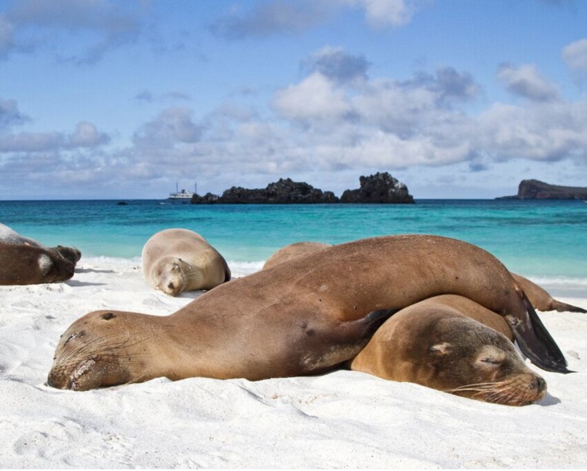 Day 2 12 Days 3 Islands Galapagos