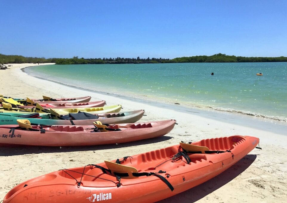 Day 6 - Kayak Tortuga Bay 7 Days Family
