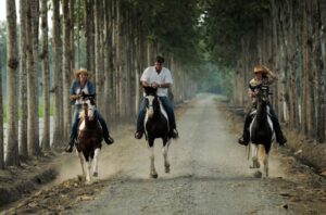 Day 7 Haciendas Trip in Ecuador