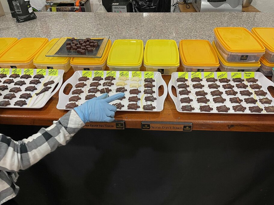 Day 7 - Chocolate on Galapagos 7 Days Family