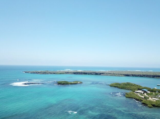 Day 8 - Tortuga Bay 14 Days Amazon and Galapagos