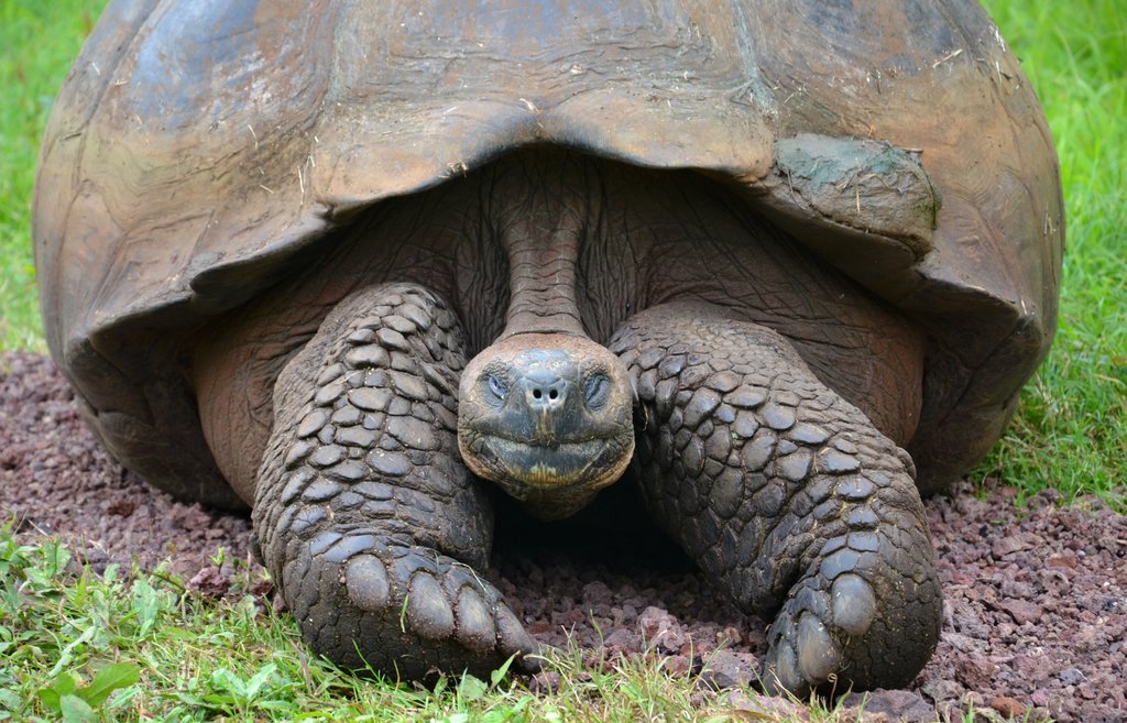 Día 2 - Highlands SC 10 Days Galapagos Classic