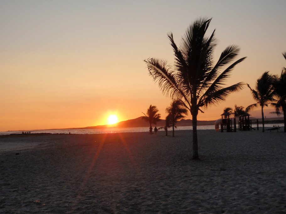 Día 7 - Free Day Isabela 10 Days Galapagos Classic