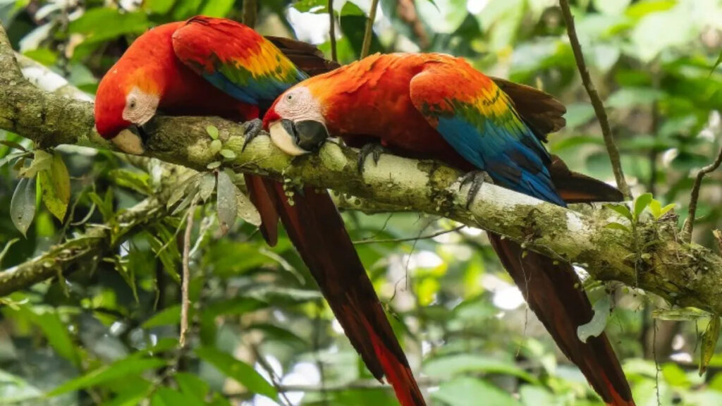 HGHTLIGHT 14 Days Luxury Experiences in Ecuador