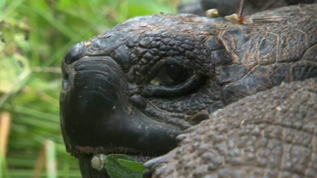 OVERVIEW 10 Days Galapagos Classic