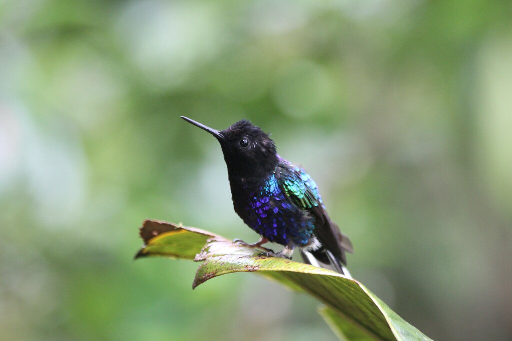 Overview 10 Days Mainland Active Tour