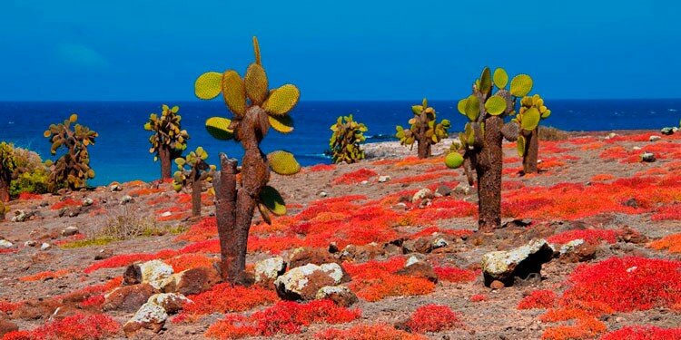 Overview 14 Days Amazon and Galapagos