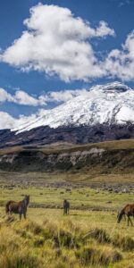 7 Days Budget Ecuador