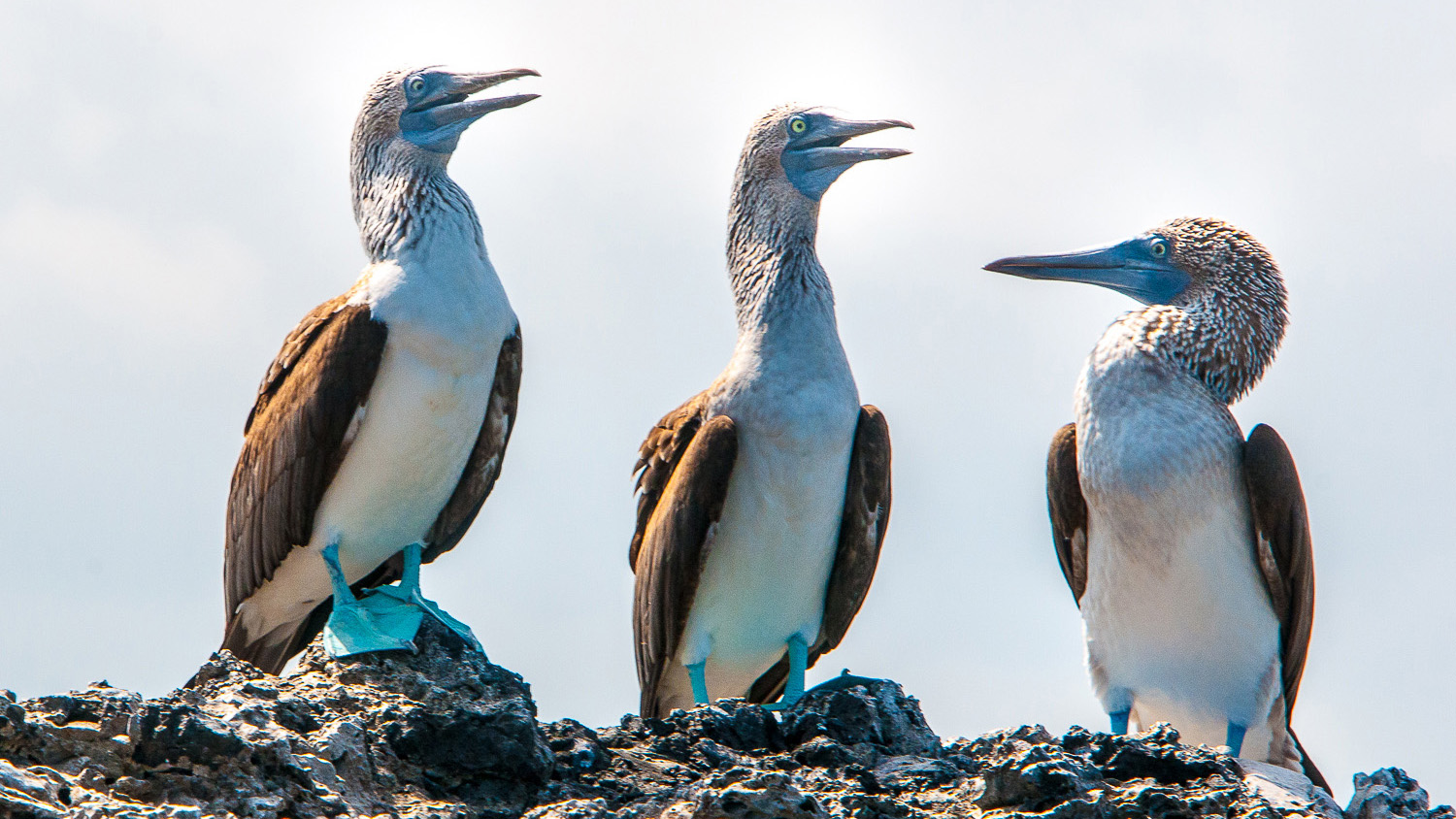 PORTADA 7 Days Multisport Galapagos