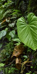 Portada 12 Days Multisport Mainland Ecuador