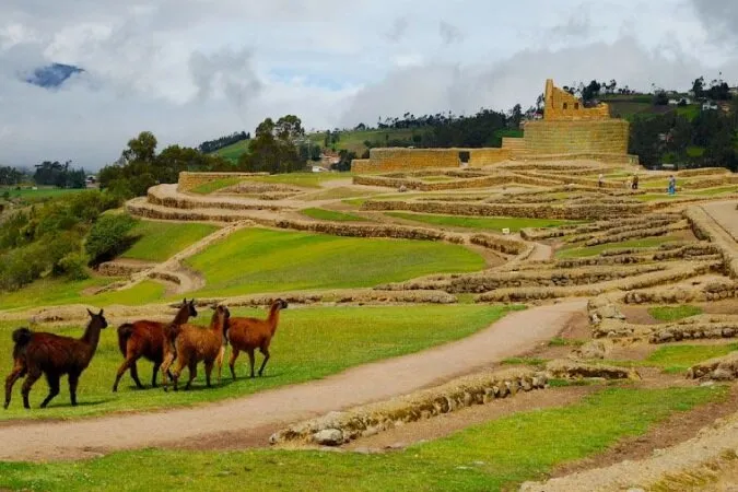 9-12-days-quito-guayaquil