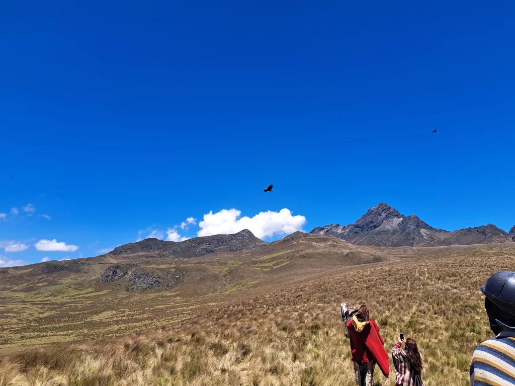 Overview-7-days-self-drive