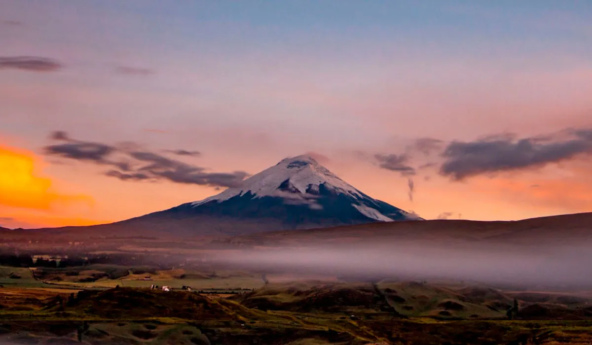 Portada_5_11zon-5d-self-drive